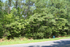 Lot 6 - Croppers Island Road